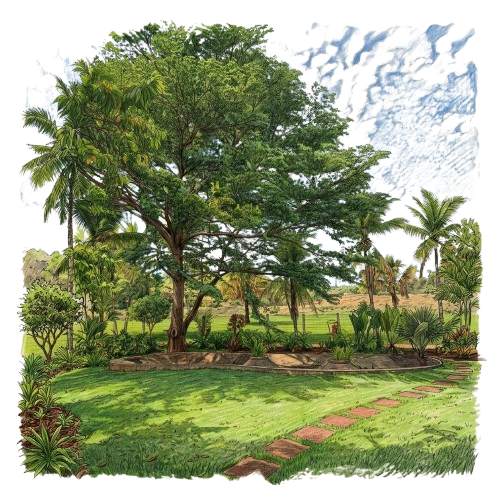 Fazenda Barra Bonita